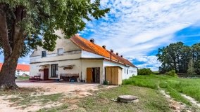 Zielony Lasek - zdjęcie 25