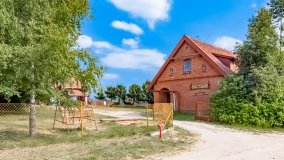 Skorupki - zdjęcie 16