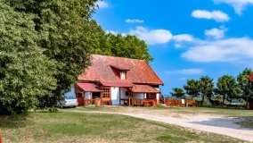 Skorupki - zdjęcie 15