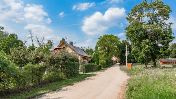 Skorupki - zdjęcie 13
