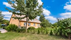 Skorupki - zdjęcie 12