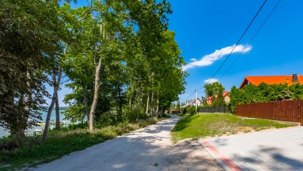 Mrówki - zdjęcie 17