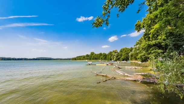 Tałty - zdjęcie 120