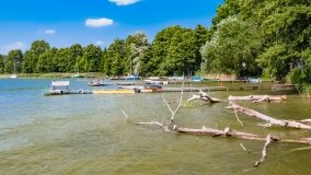 Mrówki - zdjęcie 13