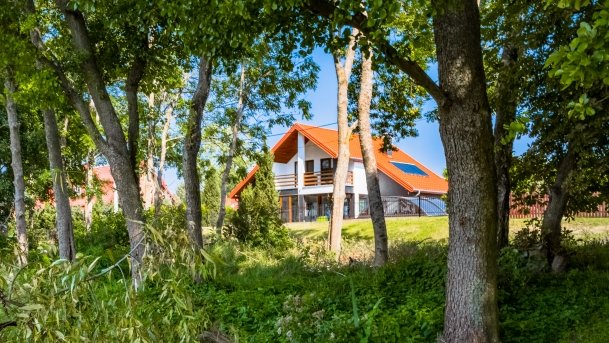 Mrówki - zdjęcie 12