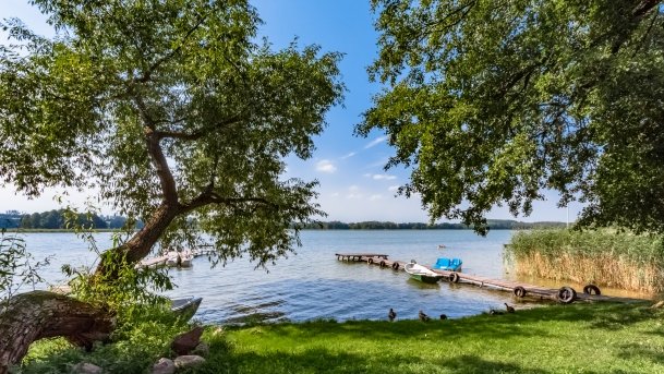 Mrówki - zdjęcie 11