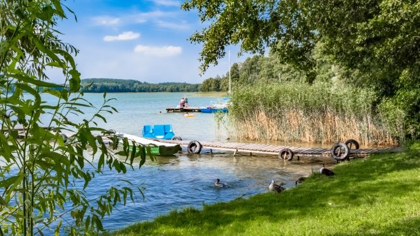 Mrówki - zdjęcie 9