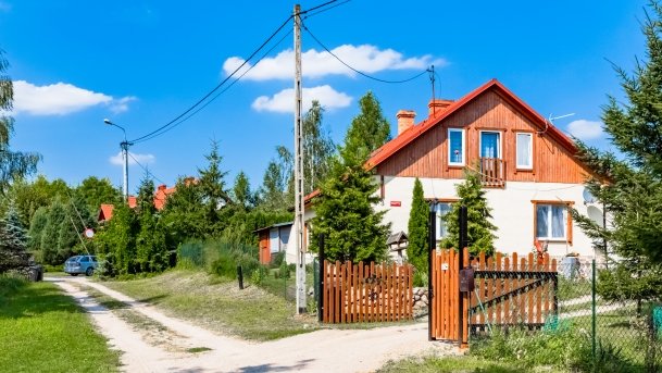 Mrówki - zdjęcie 8