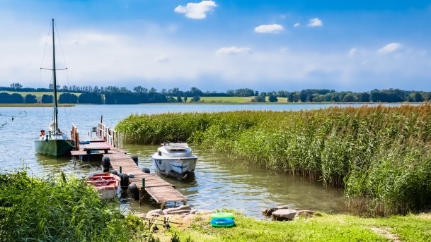 Mrówki - zdjęcie 7