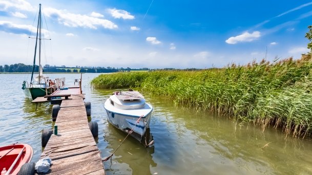 Mrówki - zdjęcie 6