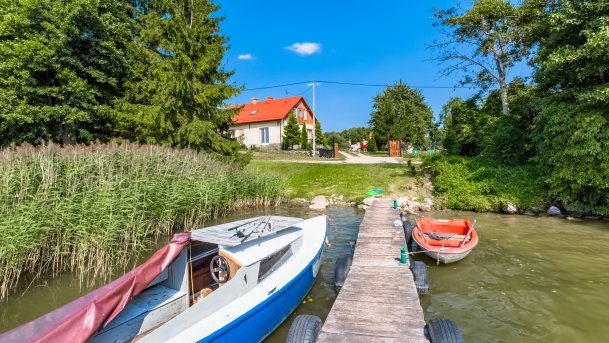 Mrówki - zdjęcie 5