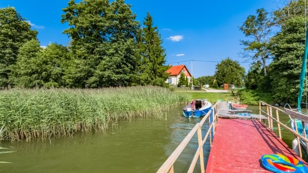 Mrówki - zdjęcie 4