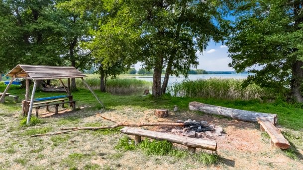 Mrówki - zdjęcie 2