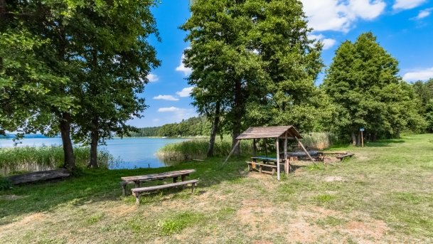 Mrówki - zdjęcie 1