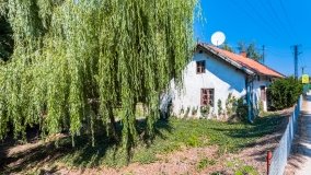 Rybical - zdjęcie 41