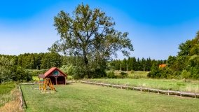 Rybical - zdjęcie 39