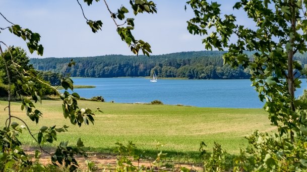 Rybical - zdjęcie 35