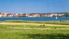 jezioro Ryńskie - zdjęcie 109