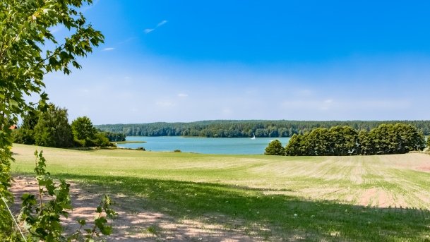 Rybical - zdjęcie 32