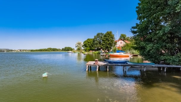 Rybical - zdjęcie 20