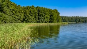 jezioro Ryńskie - zdjęcie 100