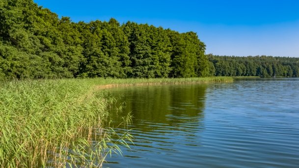 Wejdyki - zdjęcie 26