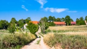 Wejdyki - zdjęcie 25