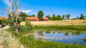 Wejdyki - zdjęcie 24