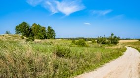 Wejdyki - zdjęcie 12