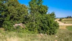 Wejdyki - zdjęcie 11