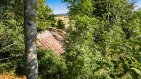 Wejdyki - zdjęcie 10