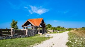 Wejdyki - zdjęcie 9