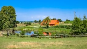 Wejdyki - zdjęcie 3