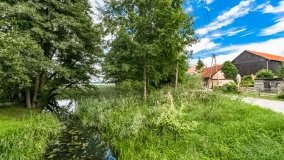 Jora Mała - zdjęcie 9