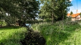 Jora Mała - zdjęcie 7