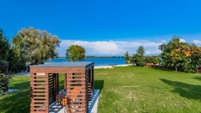 Stare Sady - zdjęcie 50