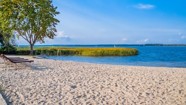 Stare Sady - zdjęcie 26