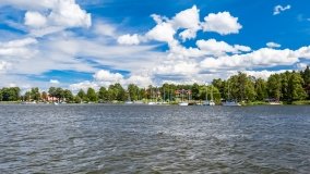 Wierzba - zdjęcie 47