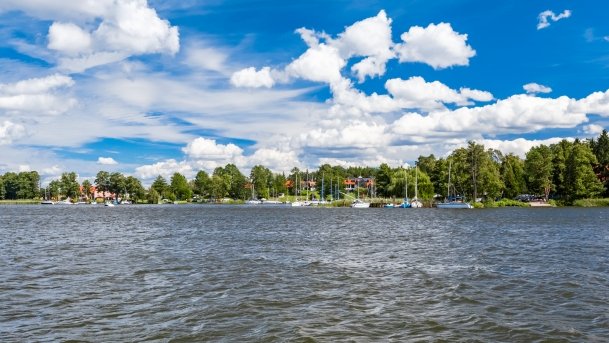 Wierzba - zdjęcie 47