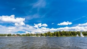 Wierzba - zdjęcie 46