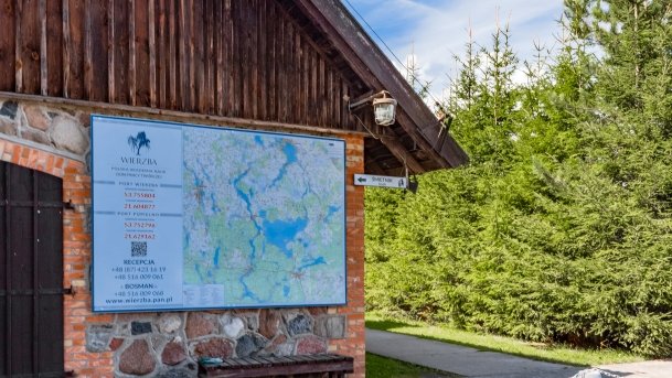 Wierzba - zdjęcie 42