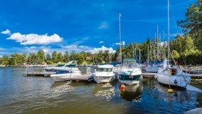 Wierzba - zdjęcie 41