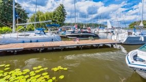 Wierzba - zdjęcie 40