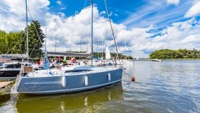 Wierzba - zdjęcie 39