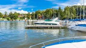 Wierzba - zdjęcie 38