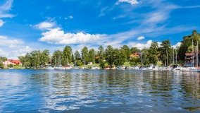 Wierzba - zdjęcie 36