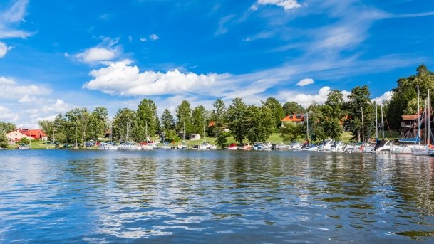 Wierzba - zdjęcie 36