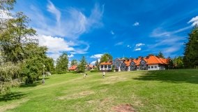 Wierzba - zdjęcie 35