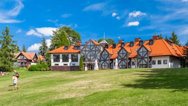 Wierzba - zdjęcie 34