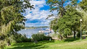 Wierzba - zdjęcie 33